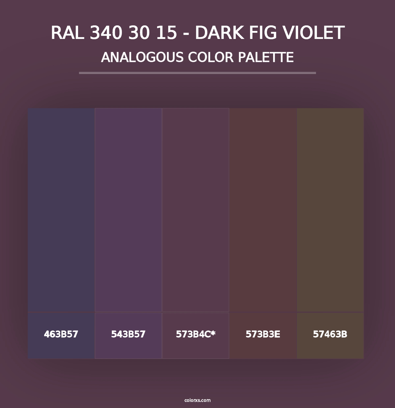 RAL 340 30 15 - Dark Fig Violet - Analogous Color Palette