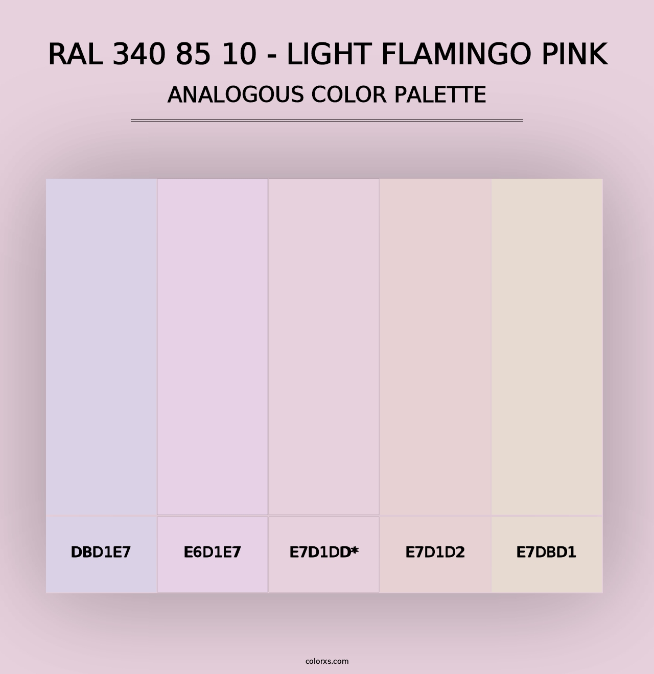 RAL 340 85 10 - Light Flamingo Pink - Analogous Color Palette