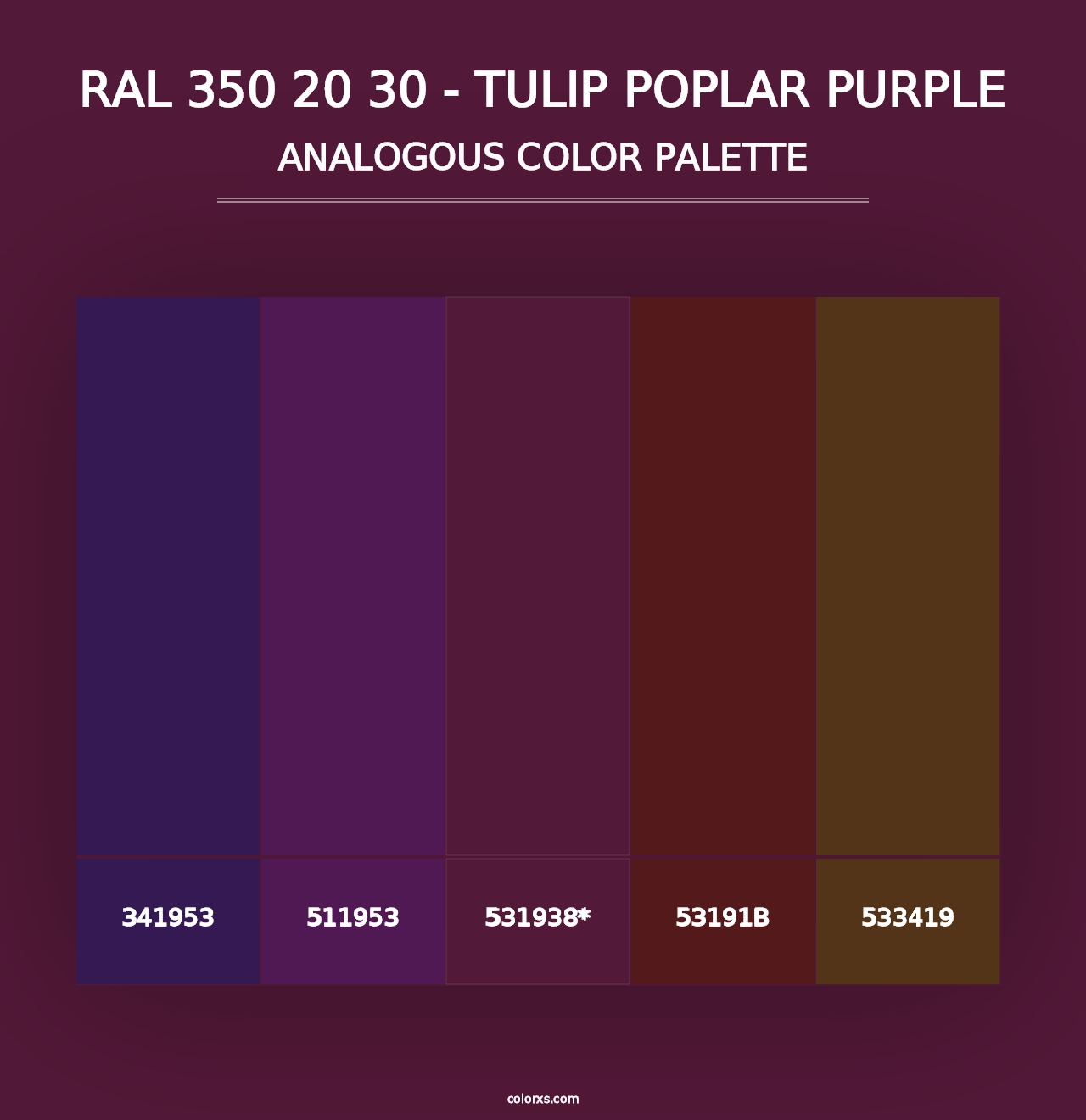 RAL 350 20 30 - Tulip Poplar Purple - Analogous Color Palette