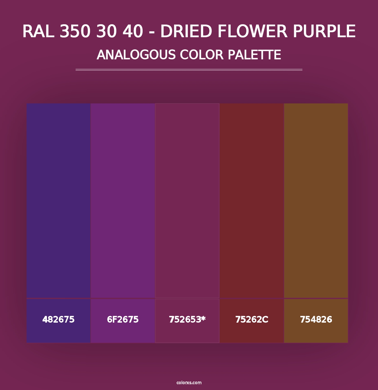 RAL 350 30 40 - Dried Flower Purple - Analogous Color Palette