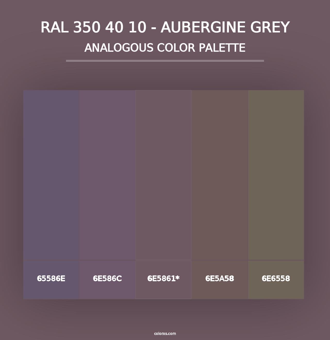 RAL 350 40 10 - Aubergine Grey - Analogous Color Palette