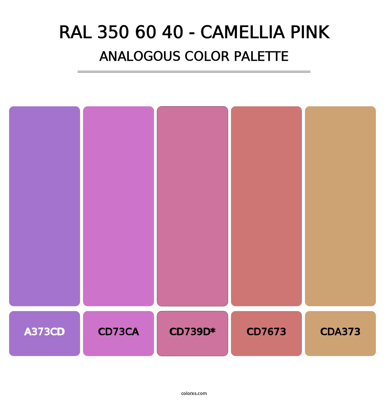 RAL 350 60 40 - Camellia Pink - Analogous Color Palette