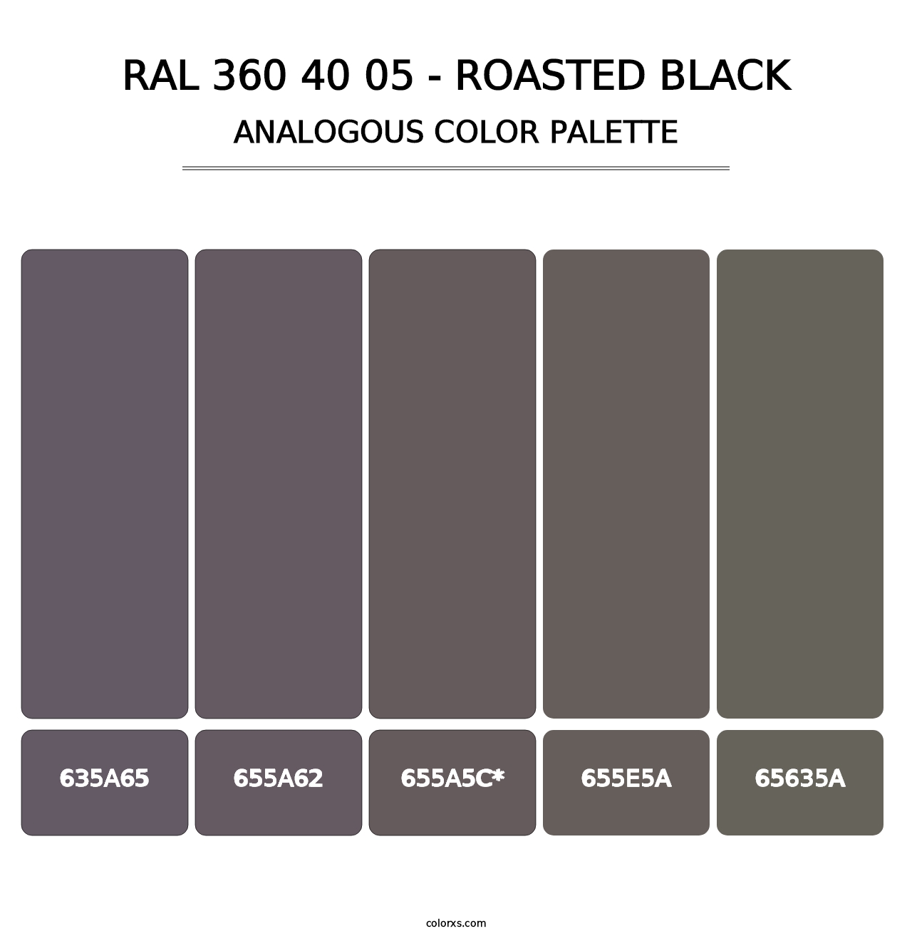 RAL 360 40 05 - Roasted Black - Analogous Color Palette