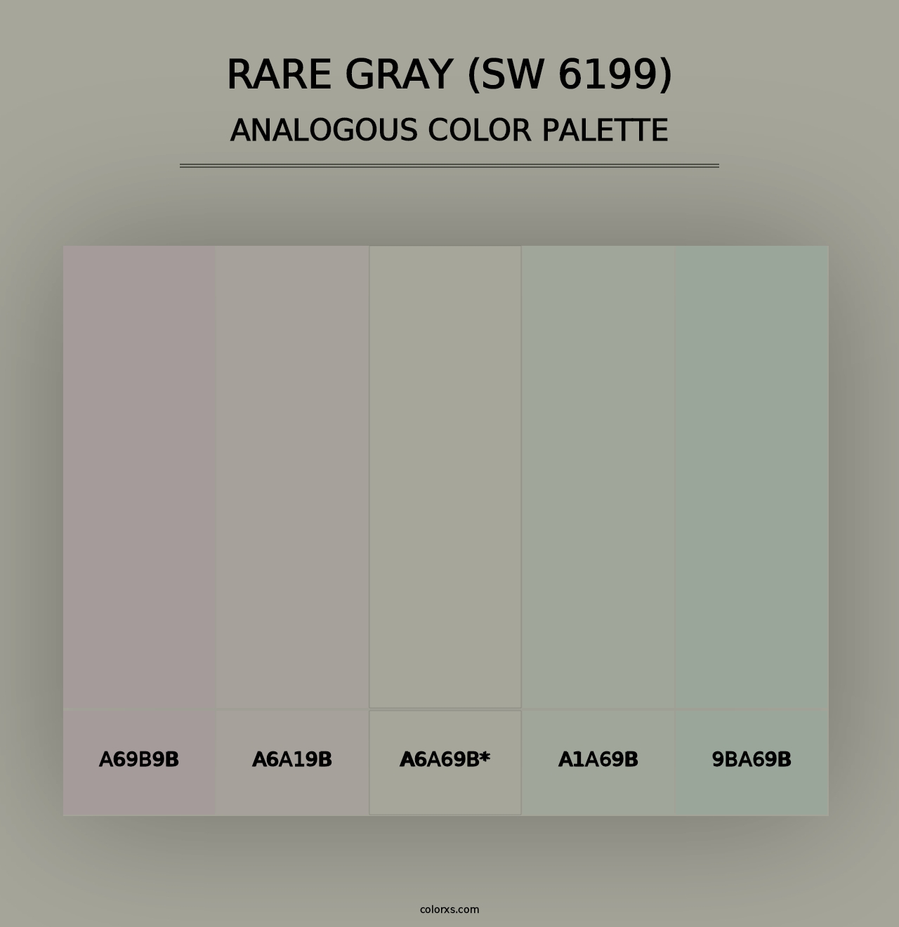 Rare Gray (SW 6199) - Analogous Color Palette