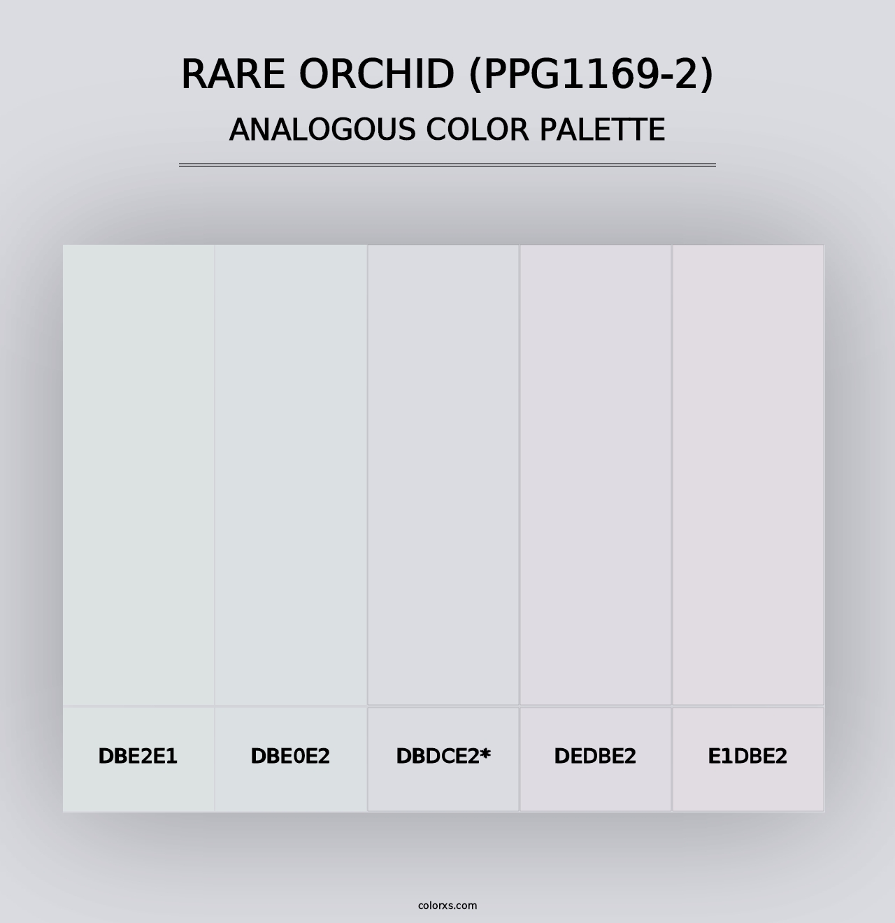 Rare Orchid (PPG1169-2) - Analogous Color Palette