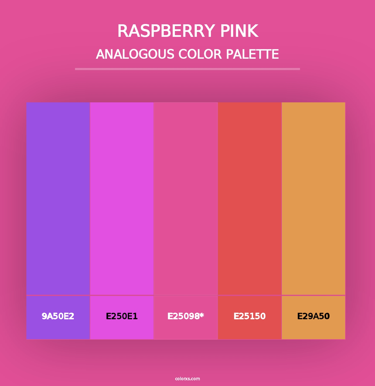 Raspberry Pink - Analogous Color Palette