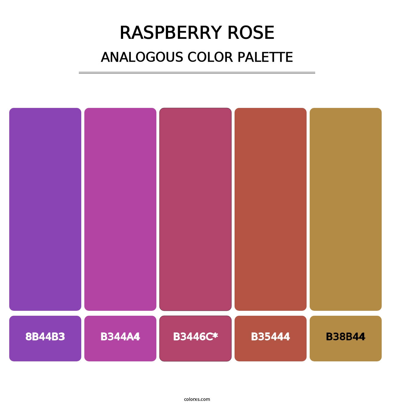 Raspberry Rose - Analogous Color Palette