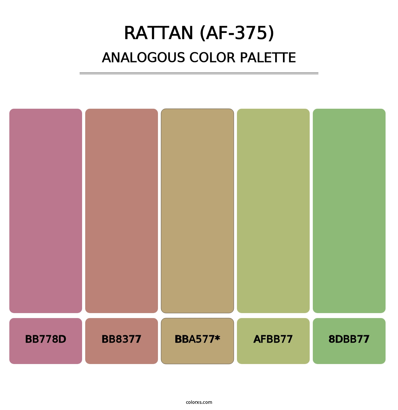 Rattan (AF-375) - Analogous Color Palette