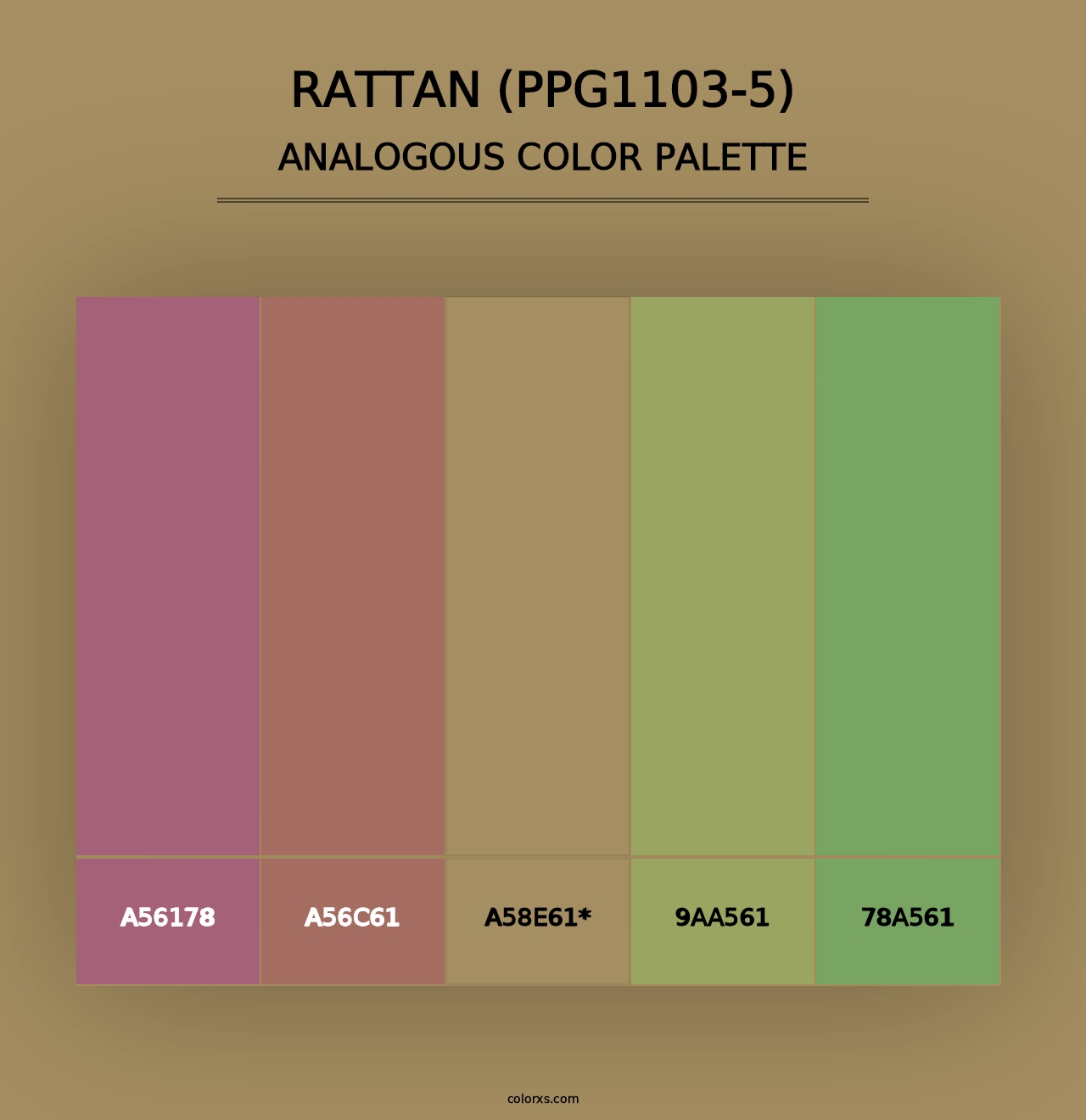 Rattan (PPG1103-5) - Analogous Color Palette