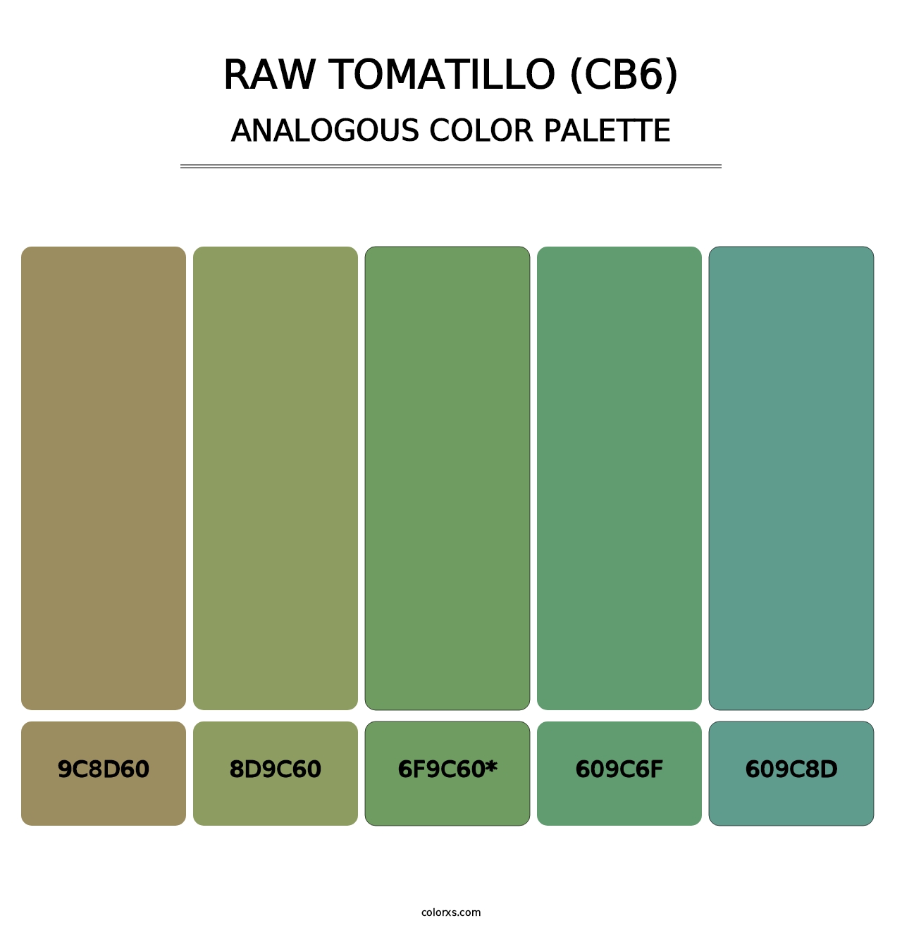 Raw Tomatillo (CB6) - Analogous Color Palette