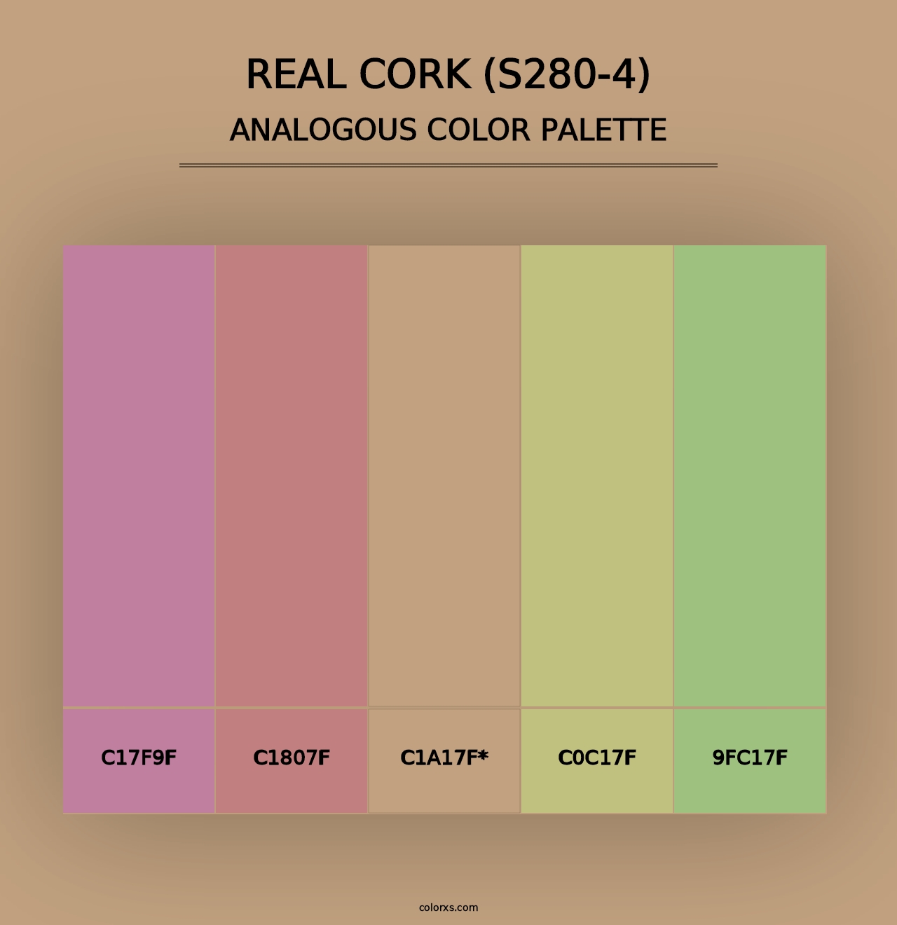 Real Cork (S280-4) - Analogous Color Palette