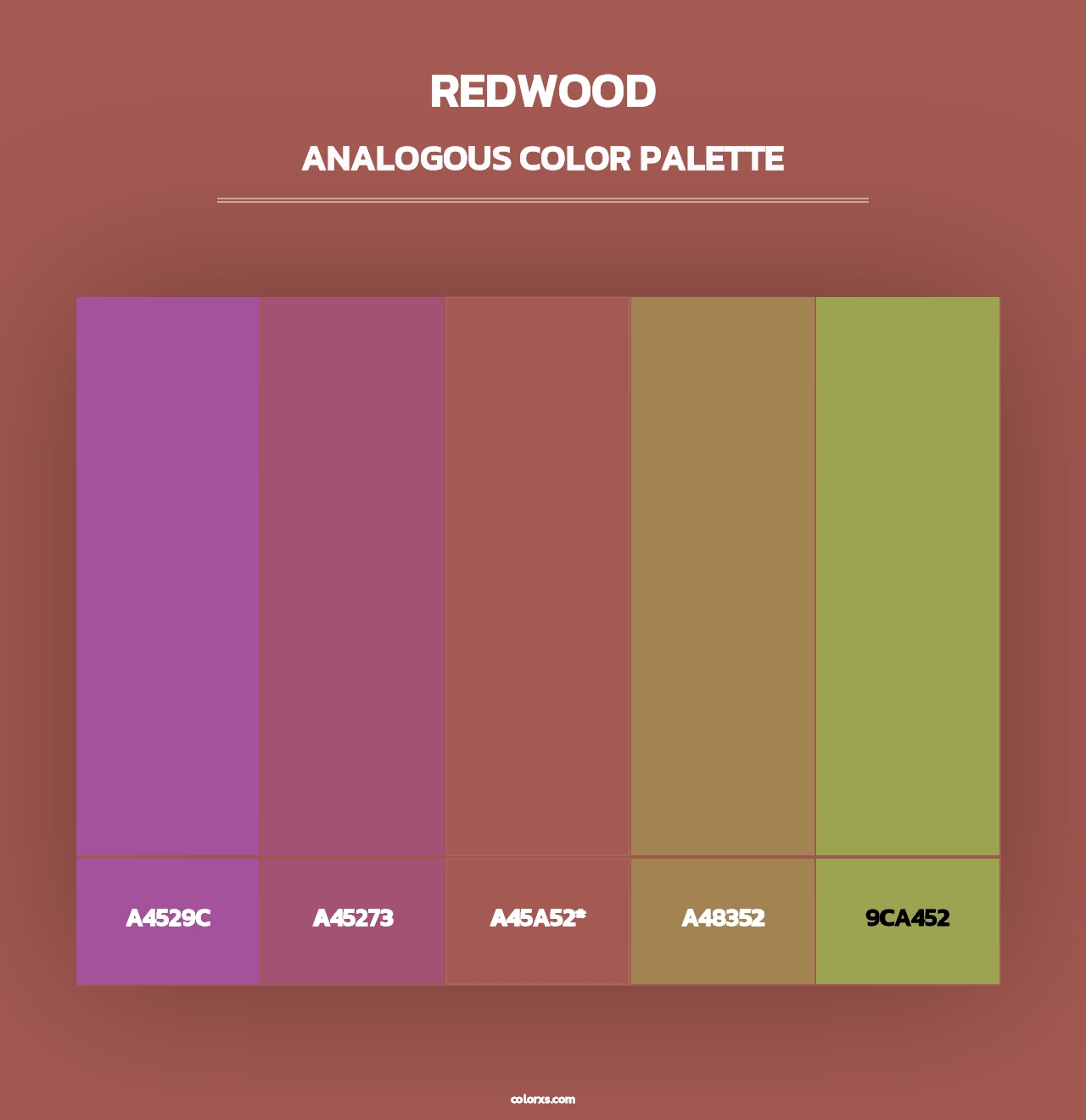 Redwood - Analogous Color Palette