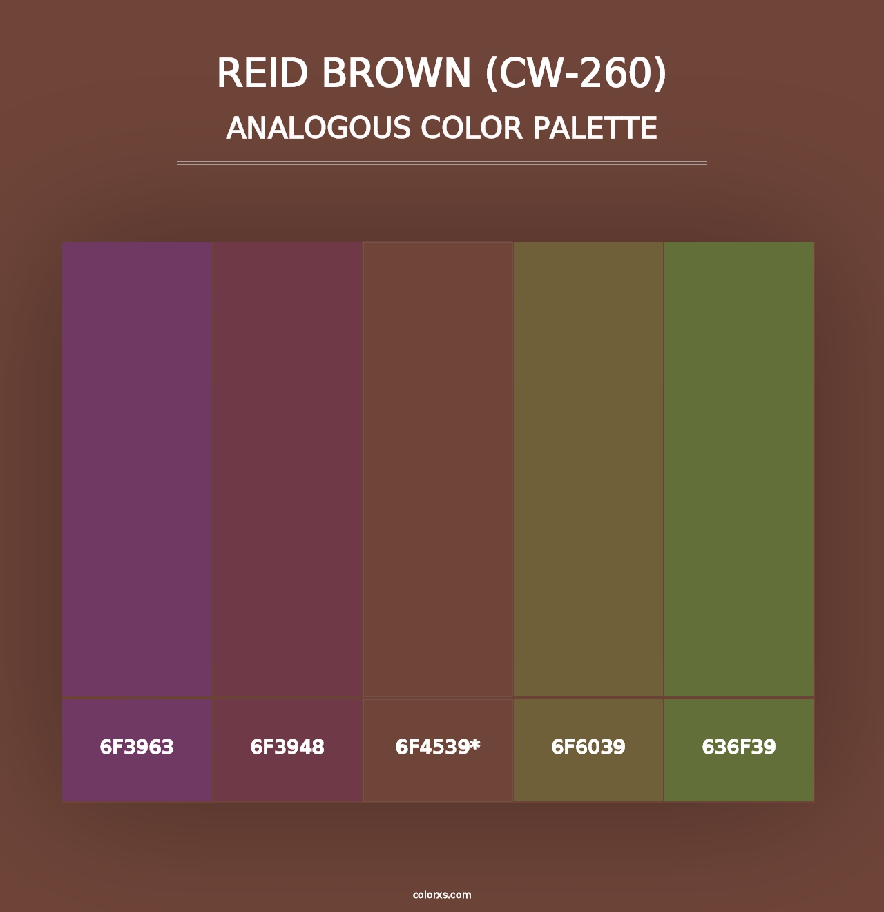 Reid Brown (CW-260) - Analogous Color Palette