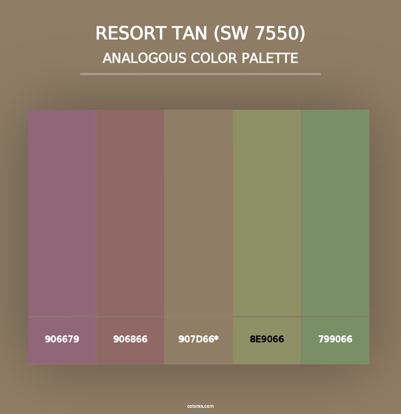 Resort Tan (SW 7550) - Analogous Color Palette