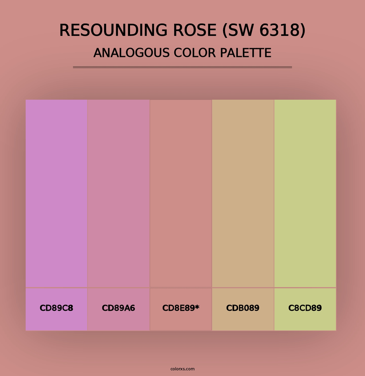 Resounding Rose (SW 6318) - Analogous Color Palette