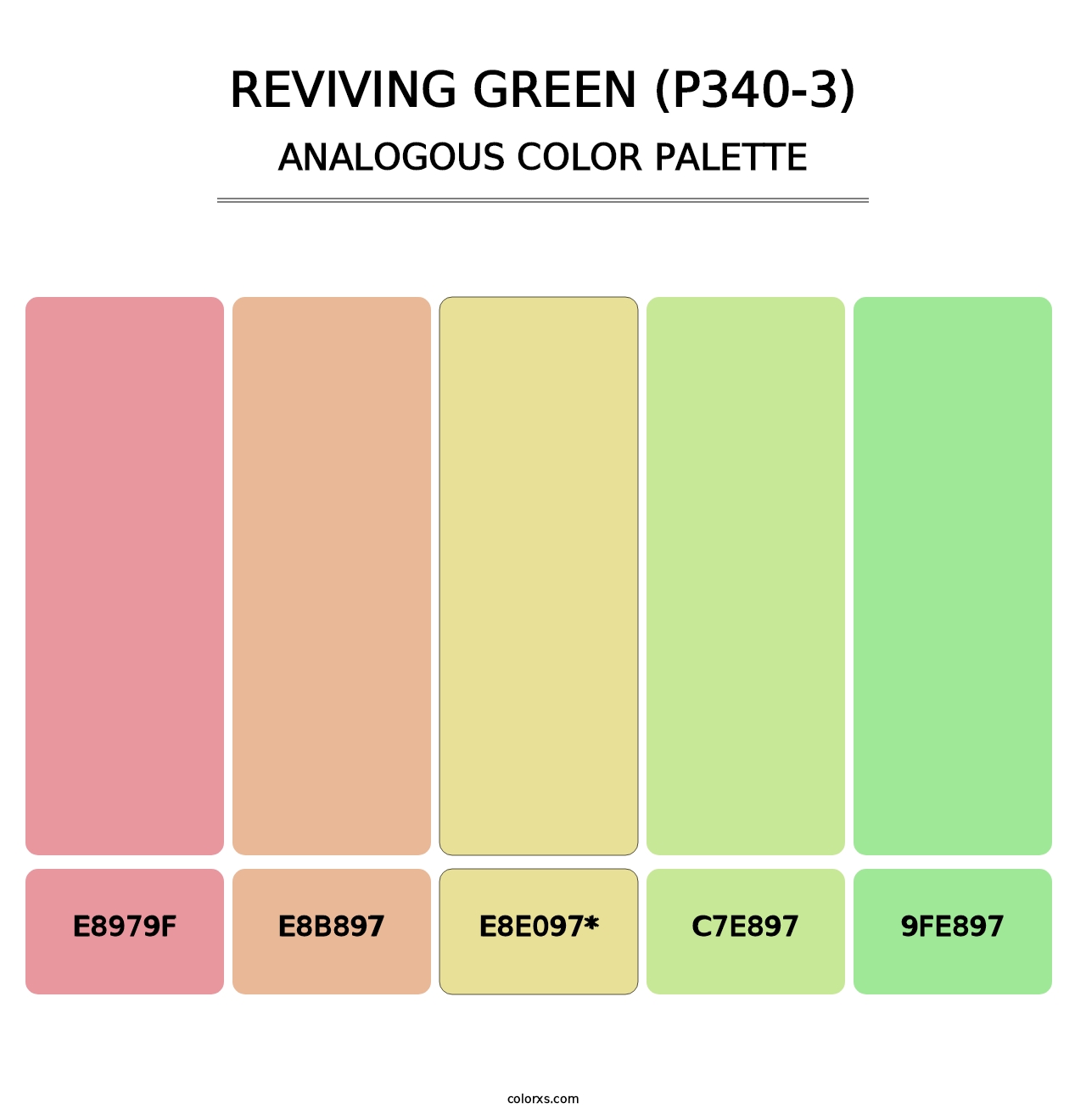 Reviving Green (P340-3) - Analogous Color Palette