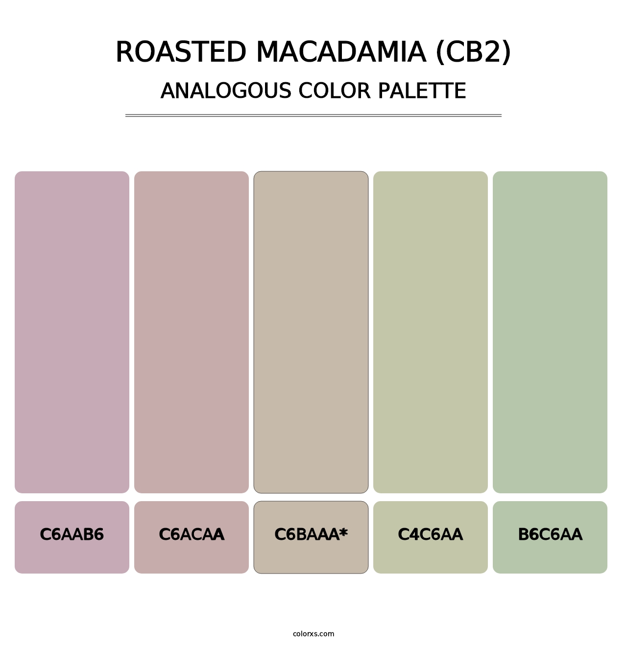 Roasted Macadamia (CB2) - Analogous Color Palette