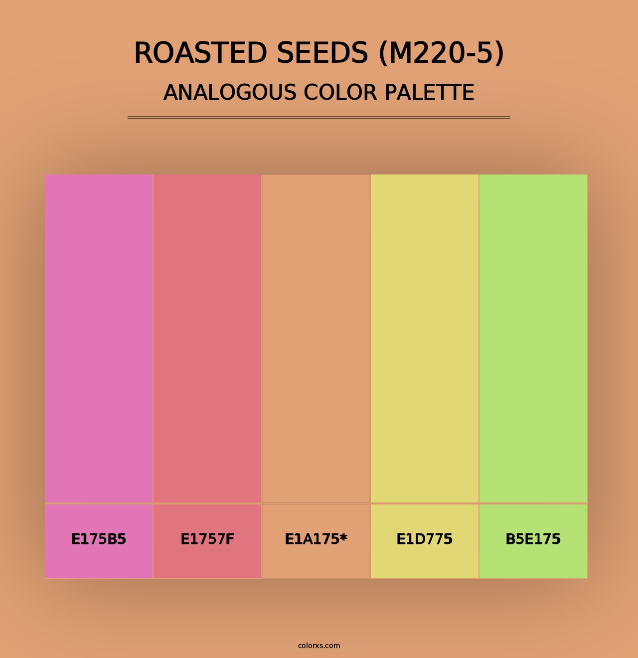 Roasted Seeds (M220-5) - Analogous Color Palette