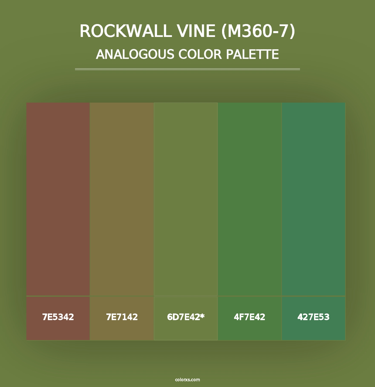 Rockwall Vine (M360-7) - Analogous Color Palette