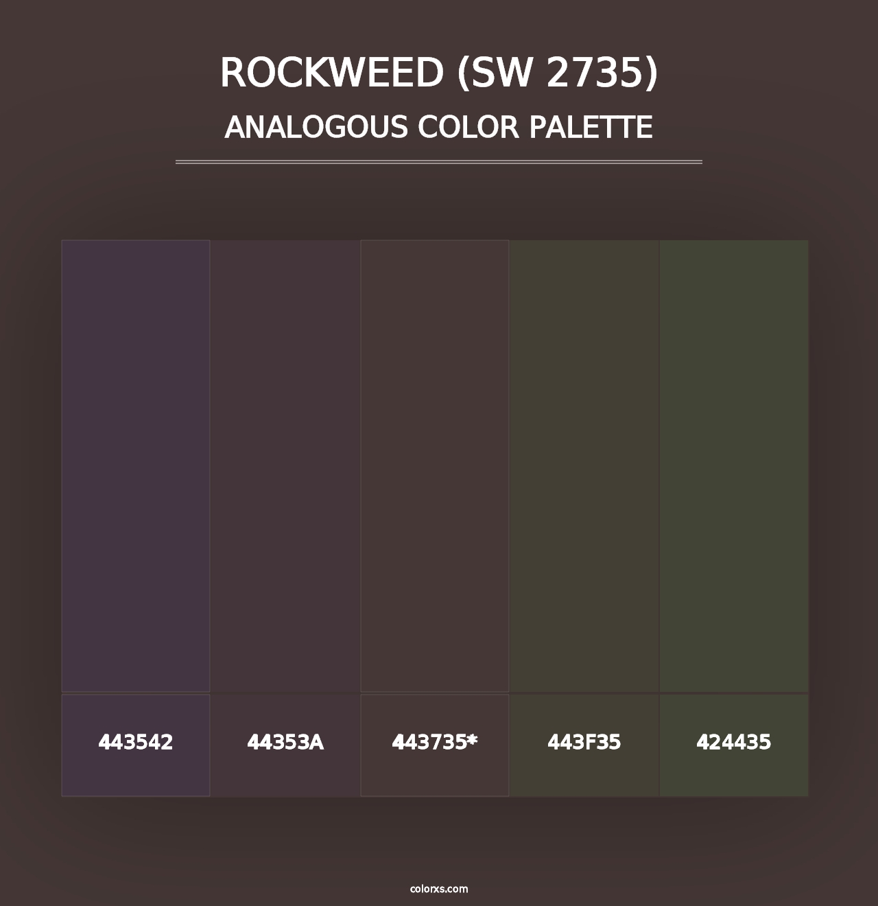 Rockweed (SW 2735) - Analogous Color Palette