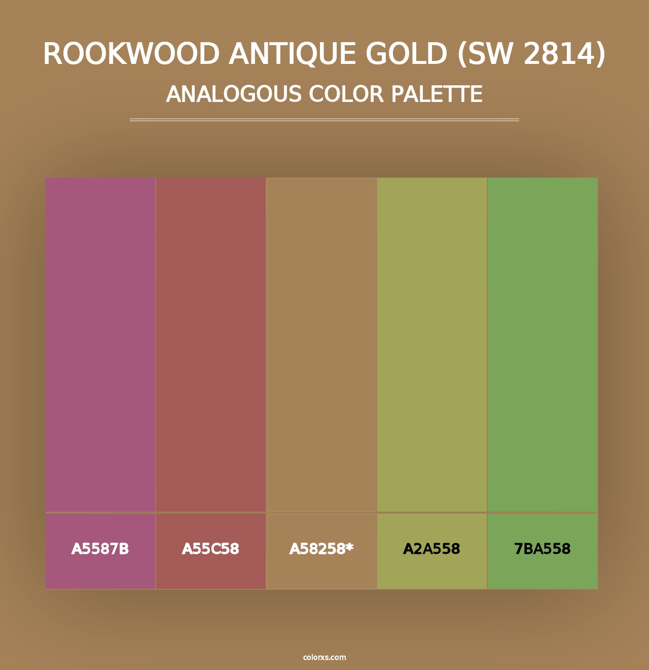 Rookwood Antique Gold (SW 2814) - Analogous Color Palette