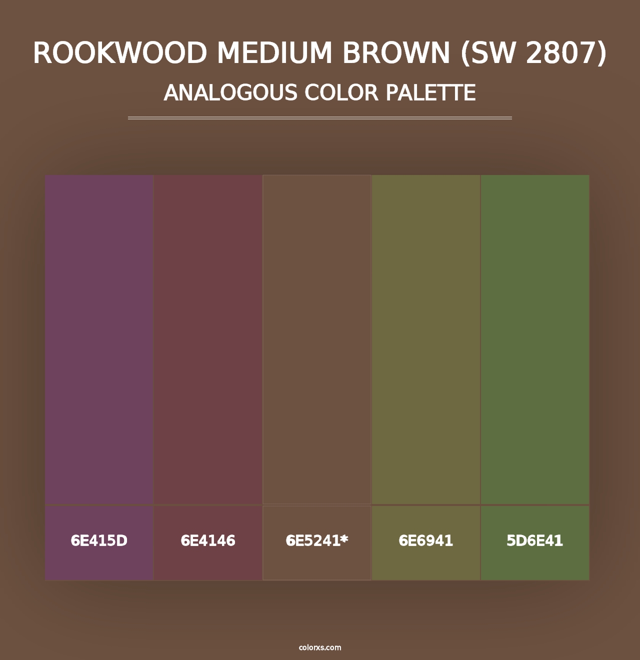 Rookwood Medium Brown (SW 2807) - Analogous Color Palette