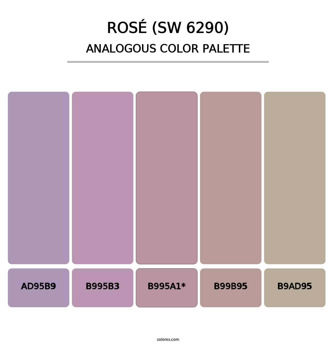 Rosé (SW 6290) - Analogous Color Palette