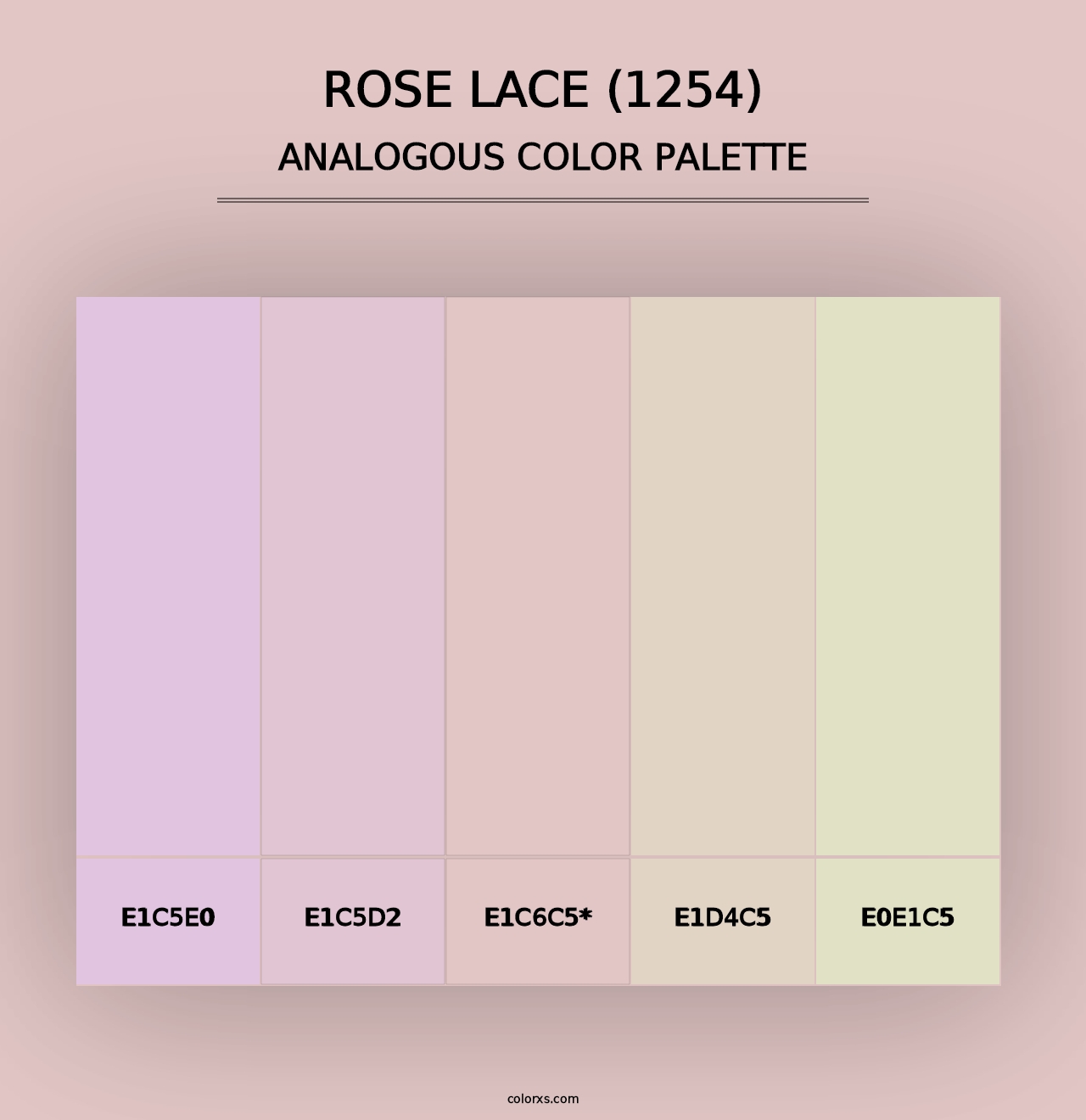 Rose Lace (1254) - Analogous Color Palette