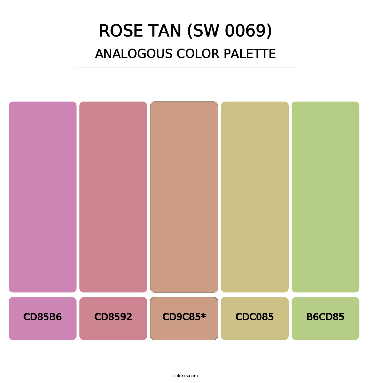 Rose Tan (SW 0069) - Analogous Color Palette