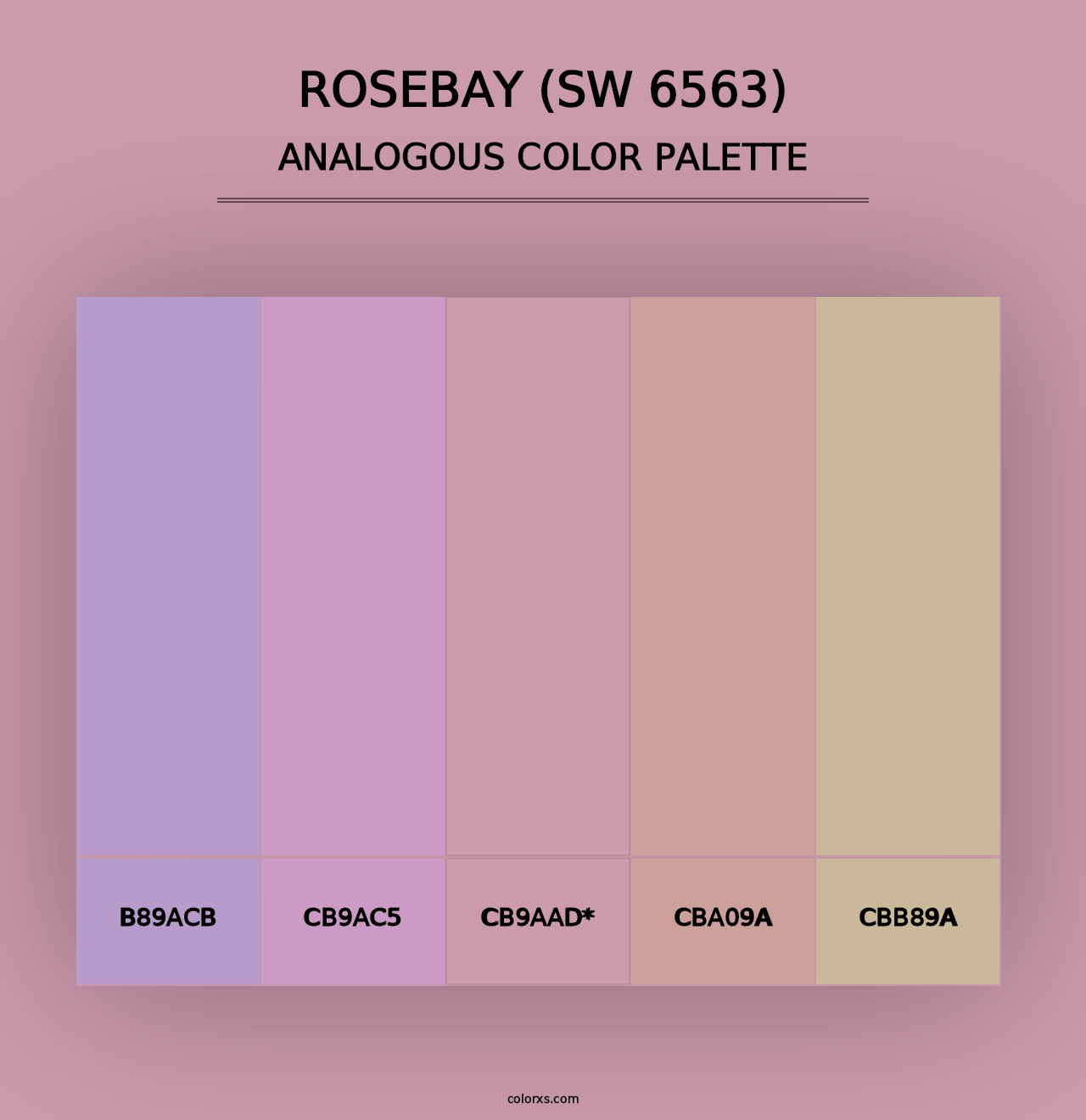 Rosebay (SW 6563) - Analogous Color Palette