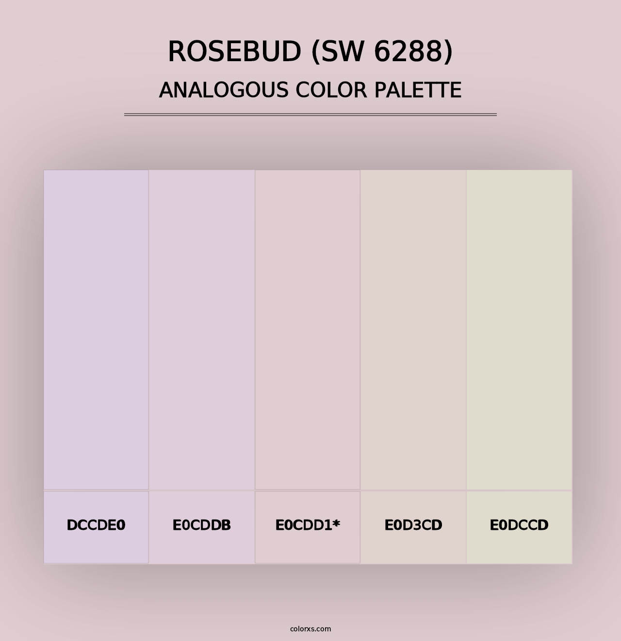 Rosebud (SW 6288) - Analogous Color Palette