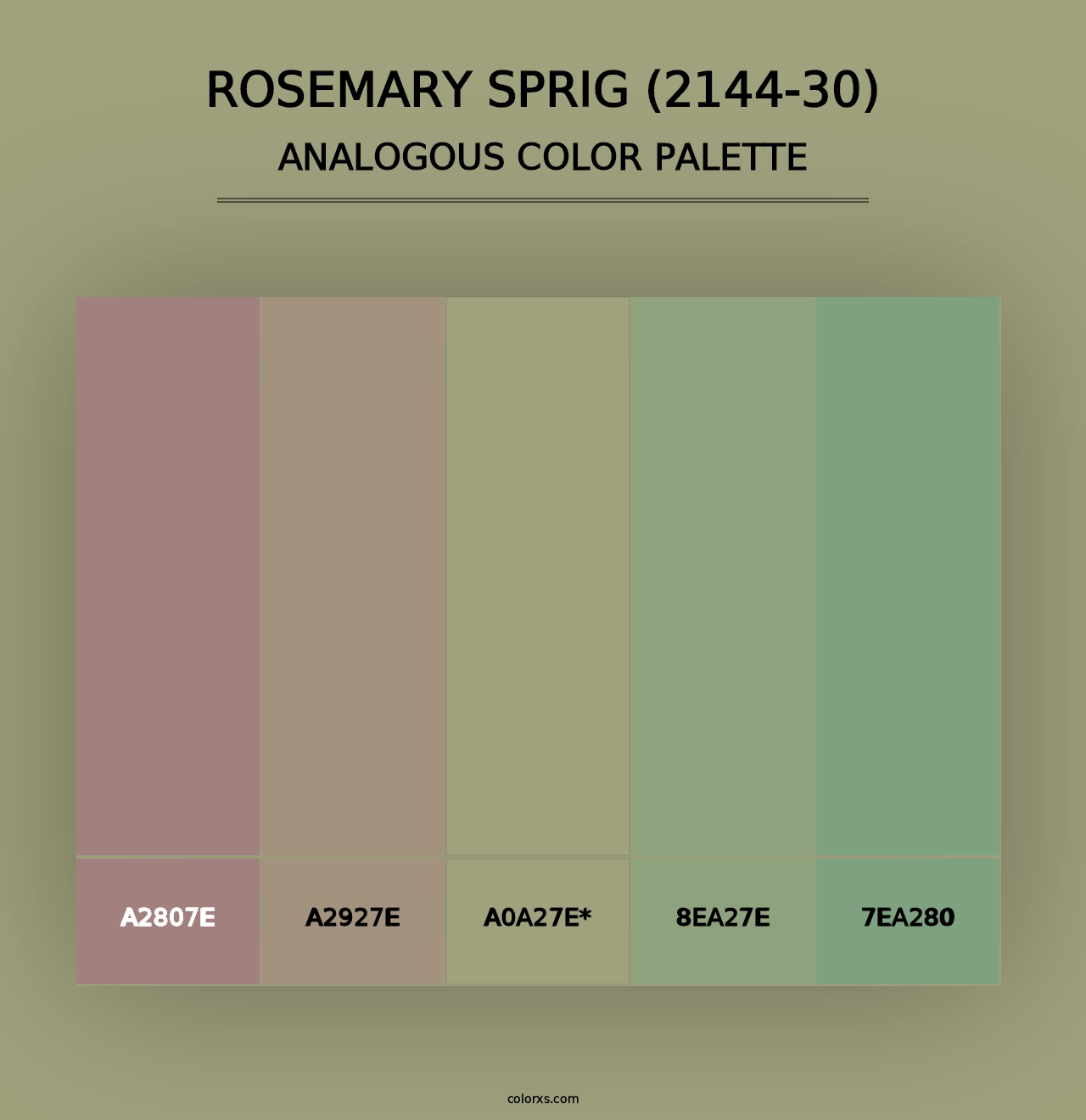 Rosemary Sprig (2144-30) - Analogous Color Palette