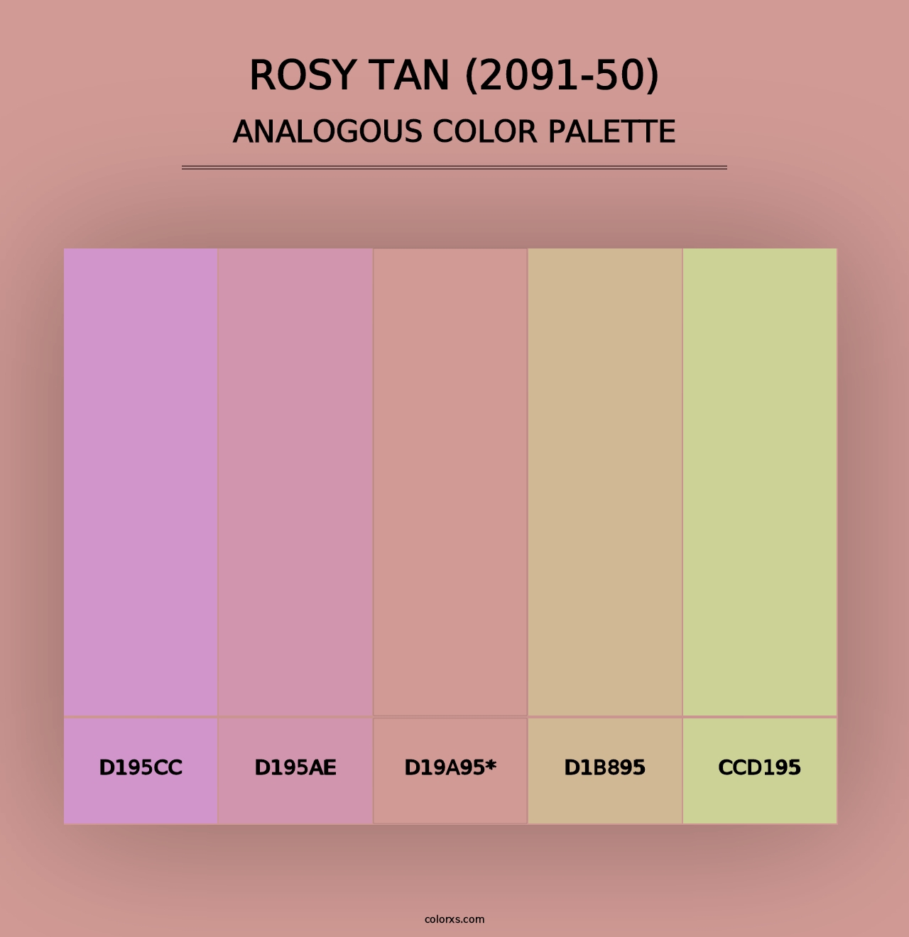 Rosy Tan (2091-50) - Analogous Color Palette