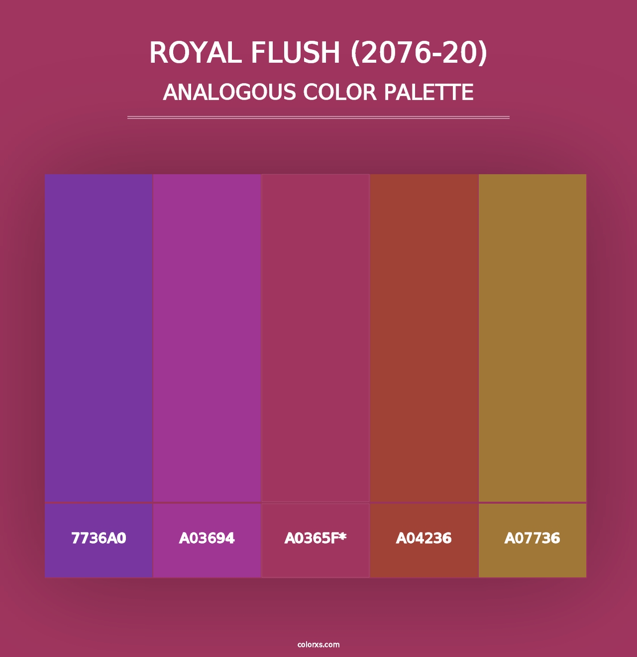 Royal Flush (2076-20) - Analogous Color Palette