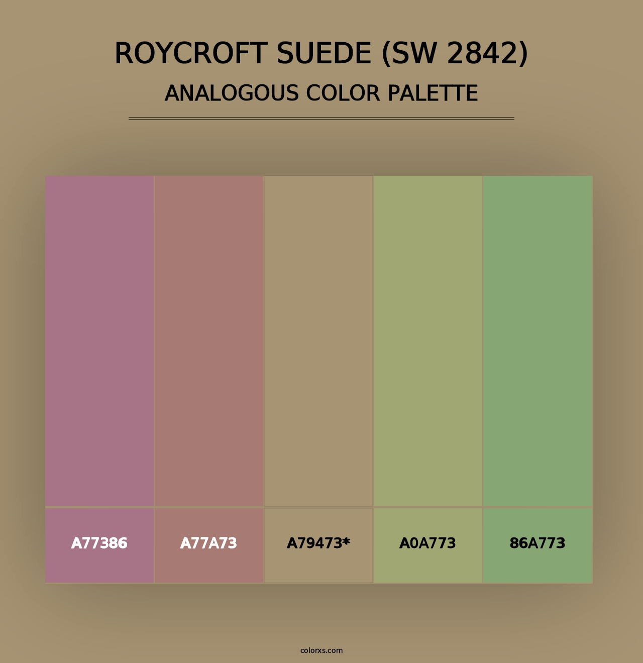 Roycroft Suede (SW 2842) - Analogous Color Palette