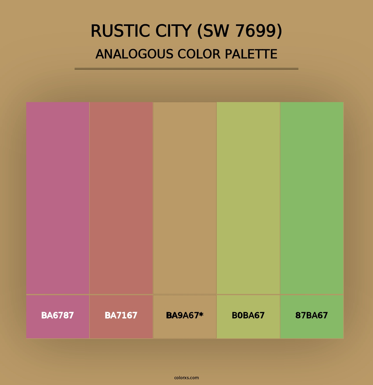 Rustic City (SW 7699) - Analogous Color Palette