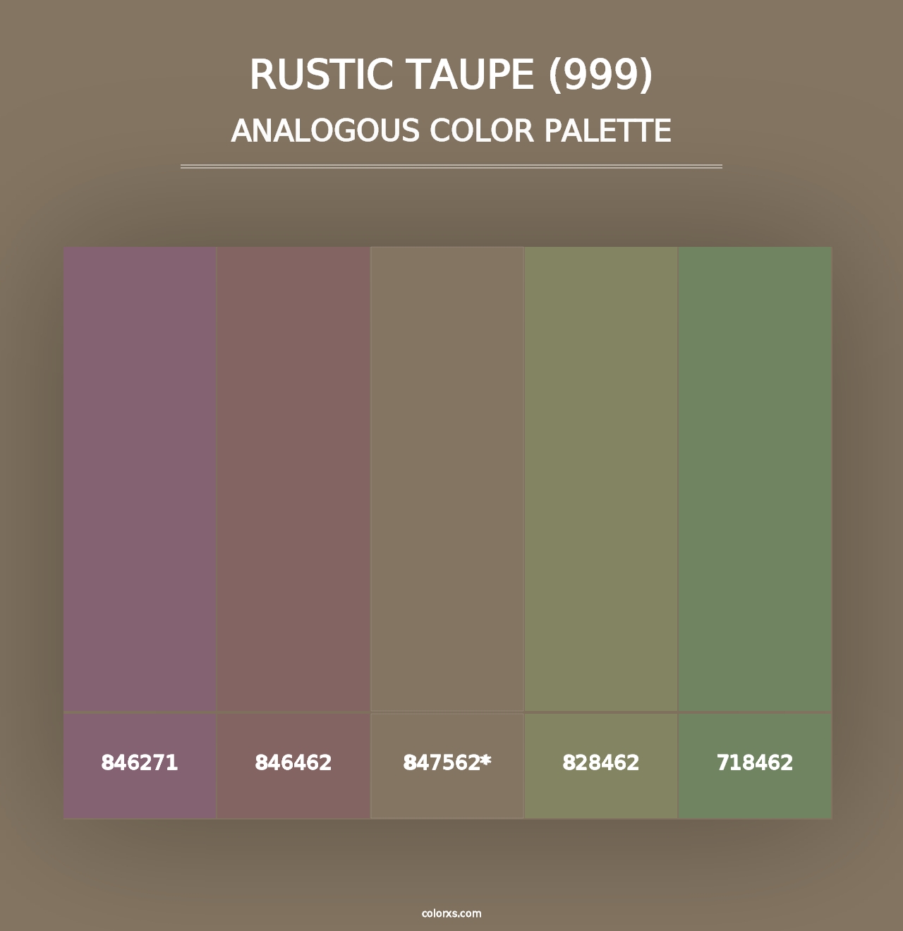 Rustic Taupe (999) - Analogous Color Palette