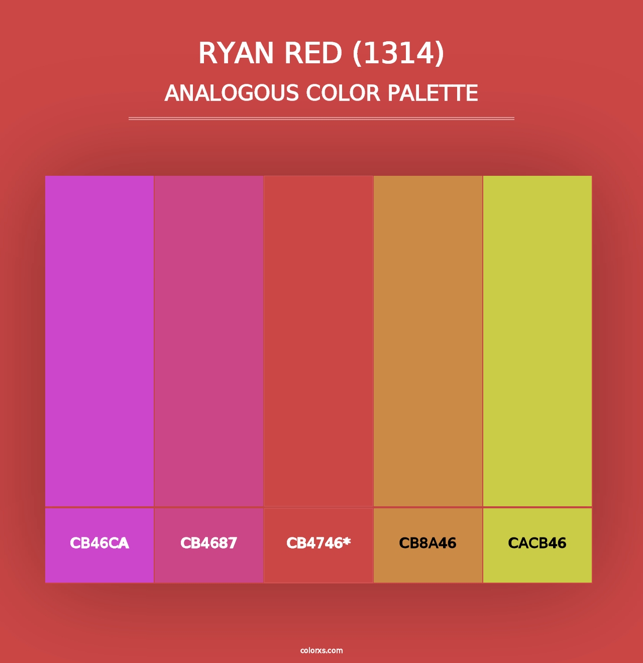 Ryan Red (1314) - Analogous Color Palette