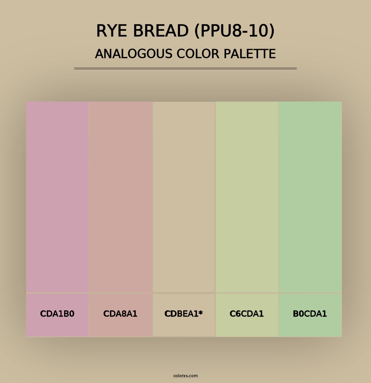 Rye Bread (PPU8-10) - Analogous Color Palette