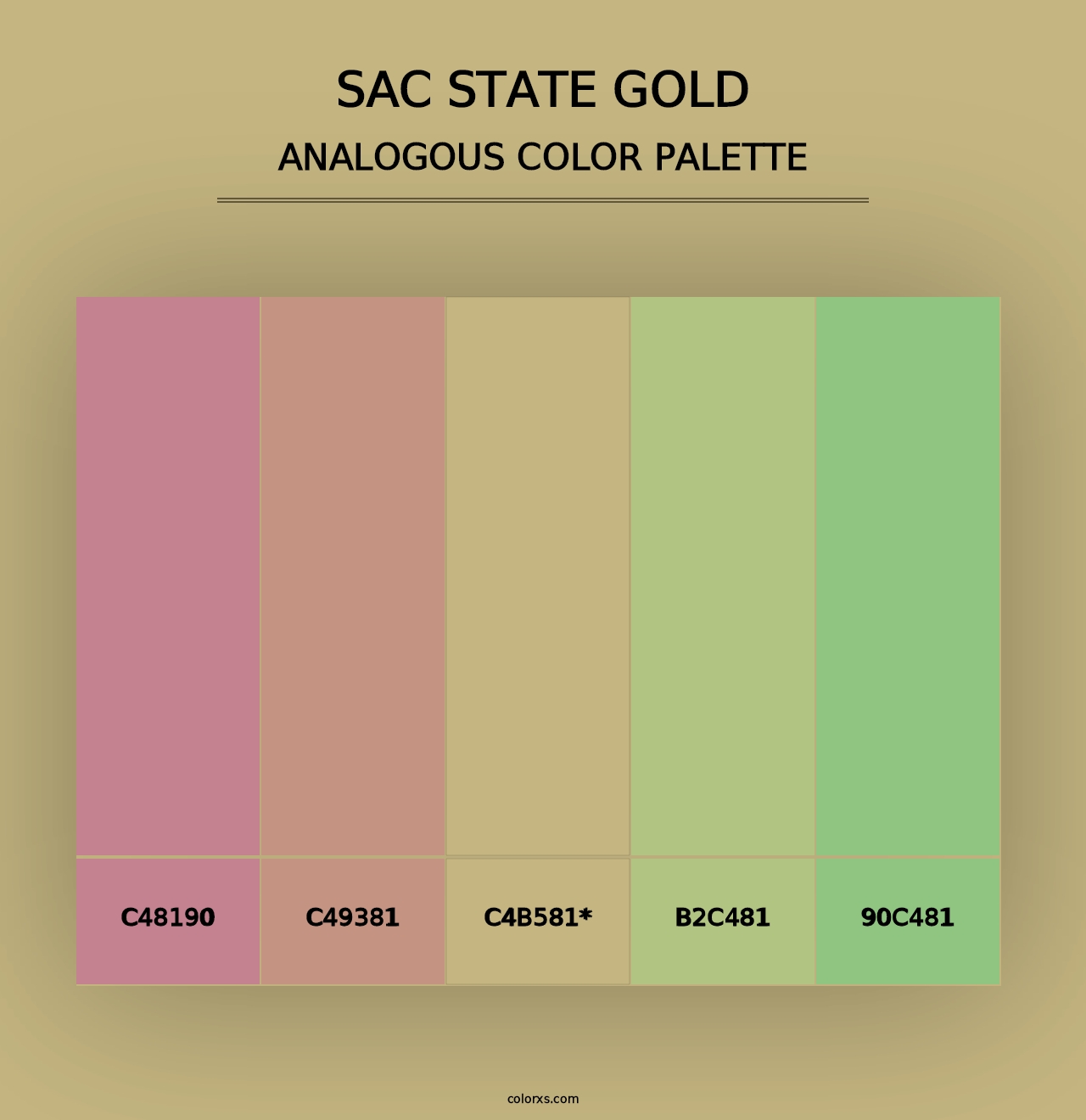 Sac State Gold - Analogous Color Palette