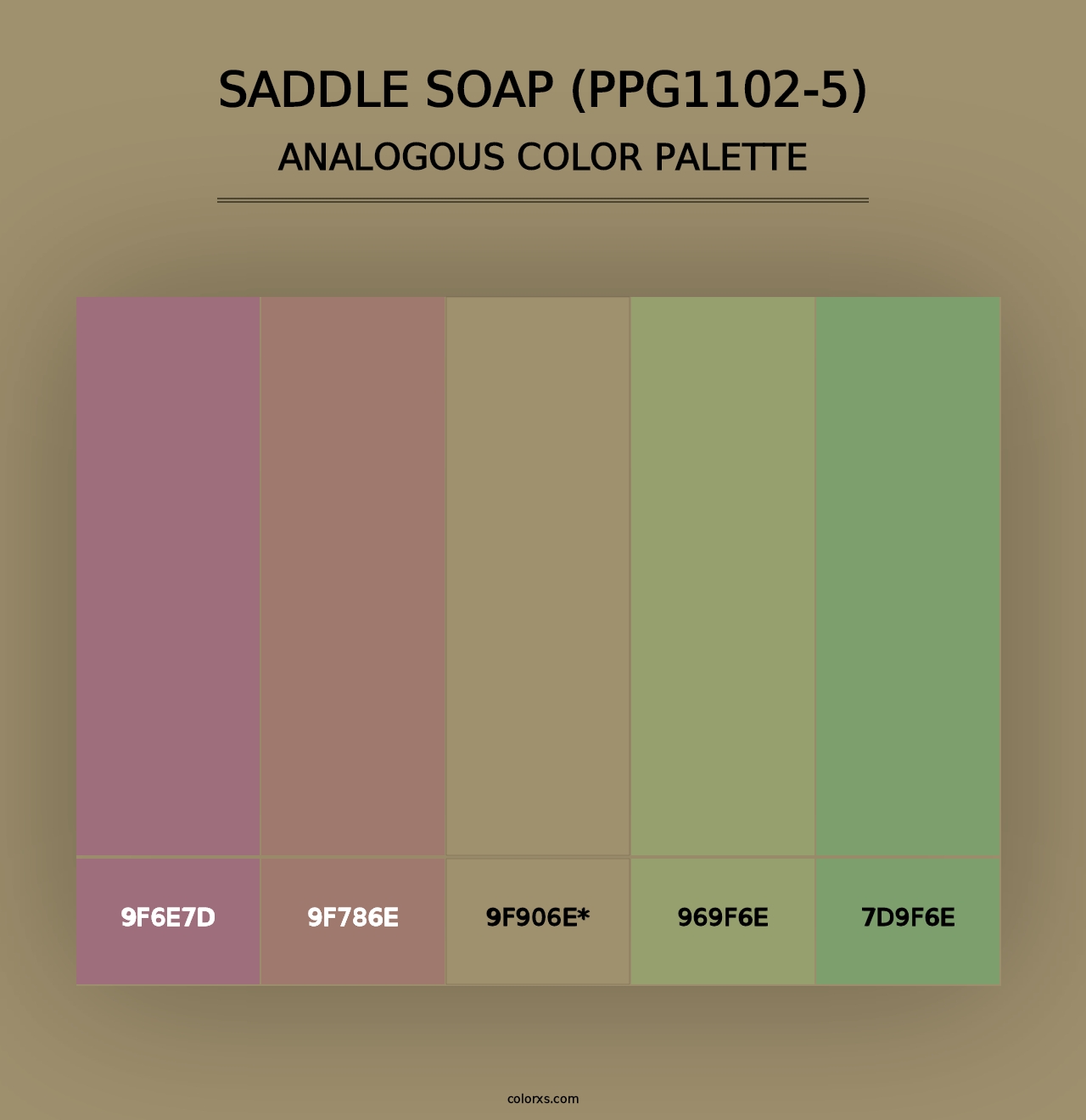 Saddle Soap (PPG1102-5) - Analogous Color Palette