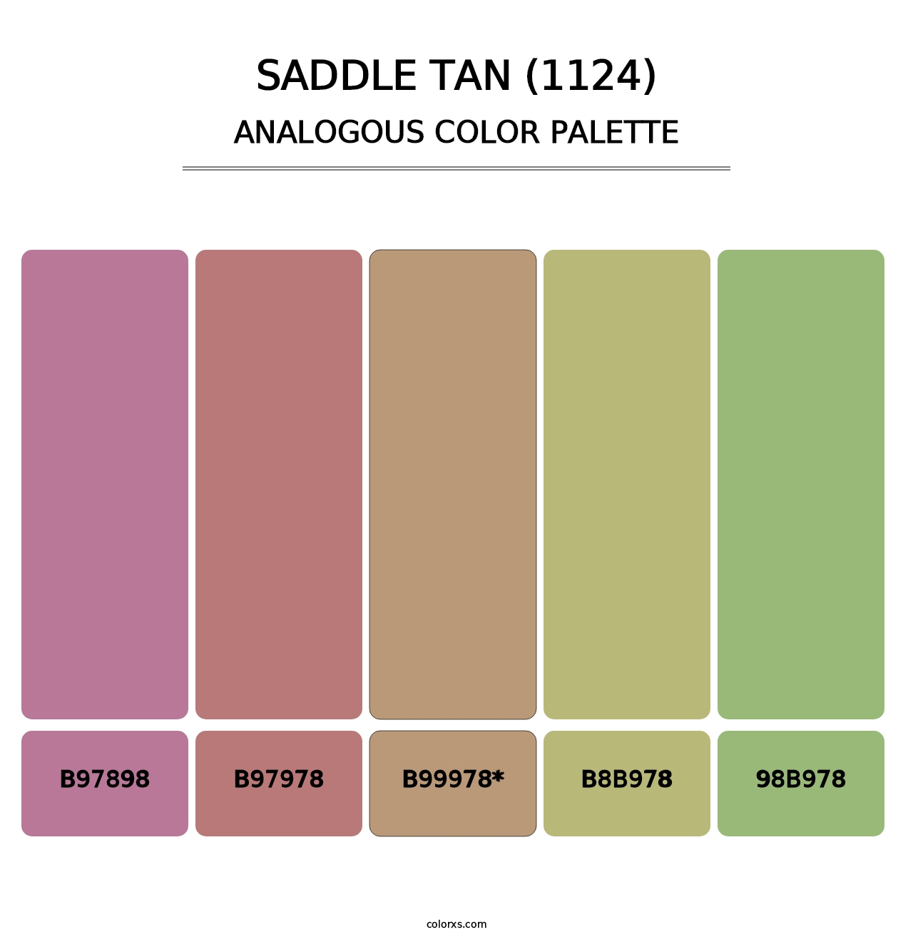 Saddle Tan (1124) - Analogous Color Palette