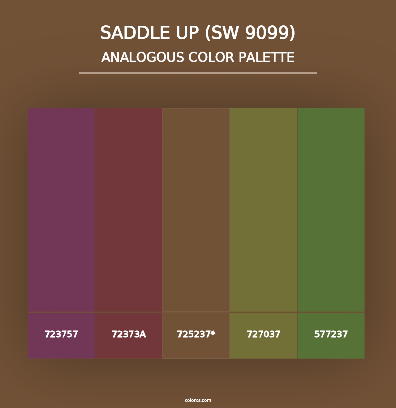 Saddle Up (SW 9099) - Analogous Color Palette