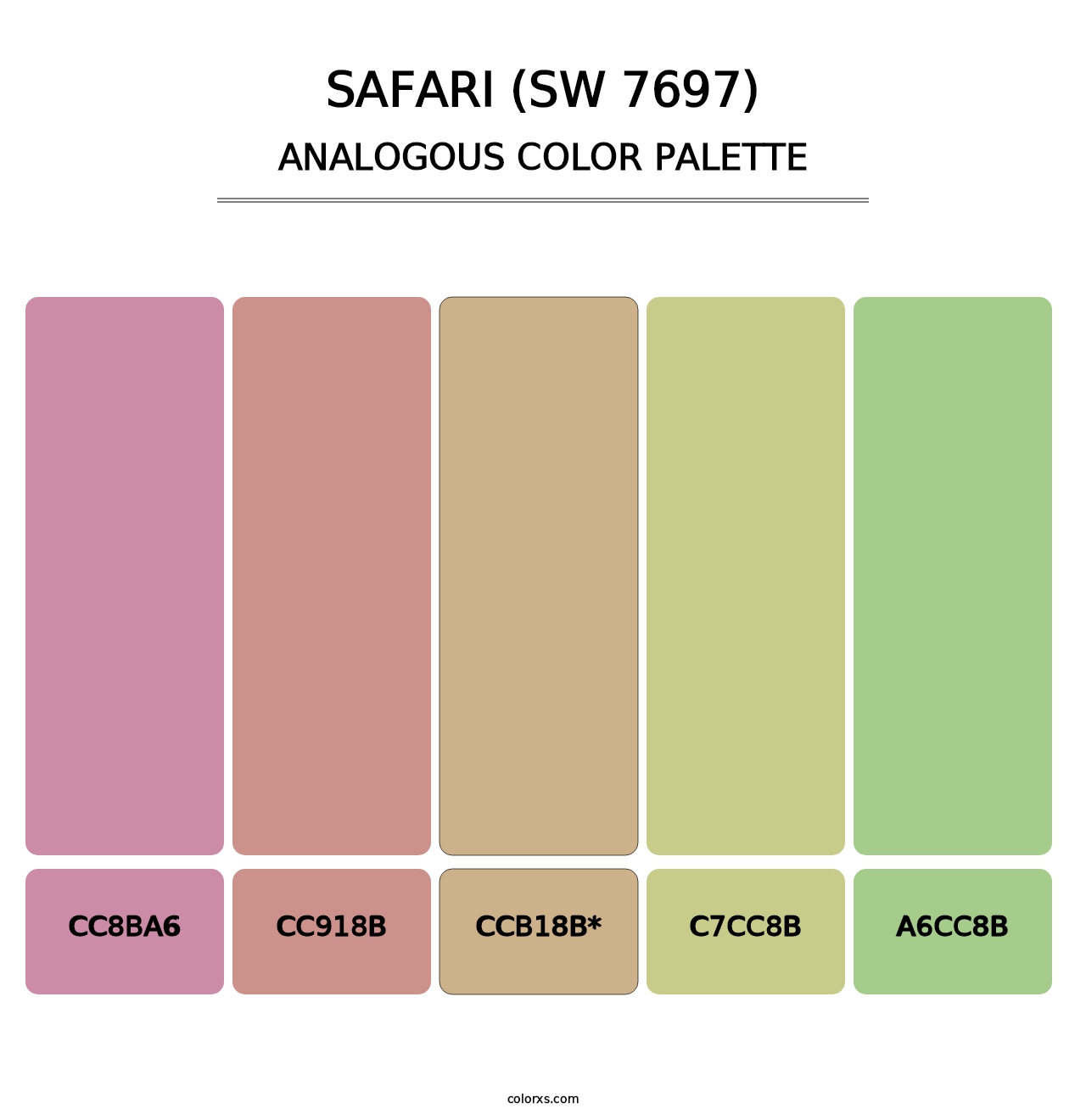 Safari (SW 7697) - Analogous Color Palette