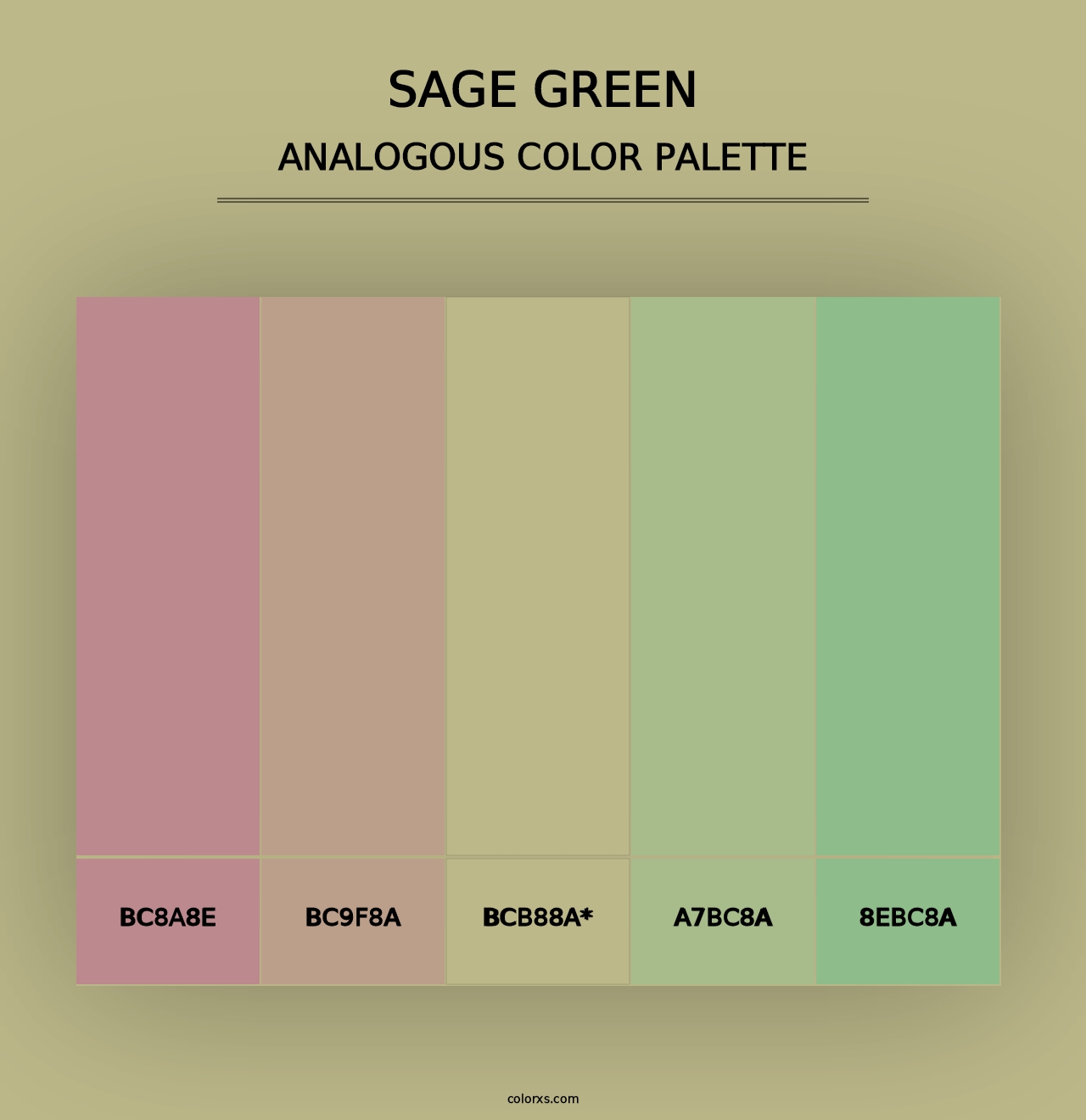 Sage Green - Analogous Color Palette