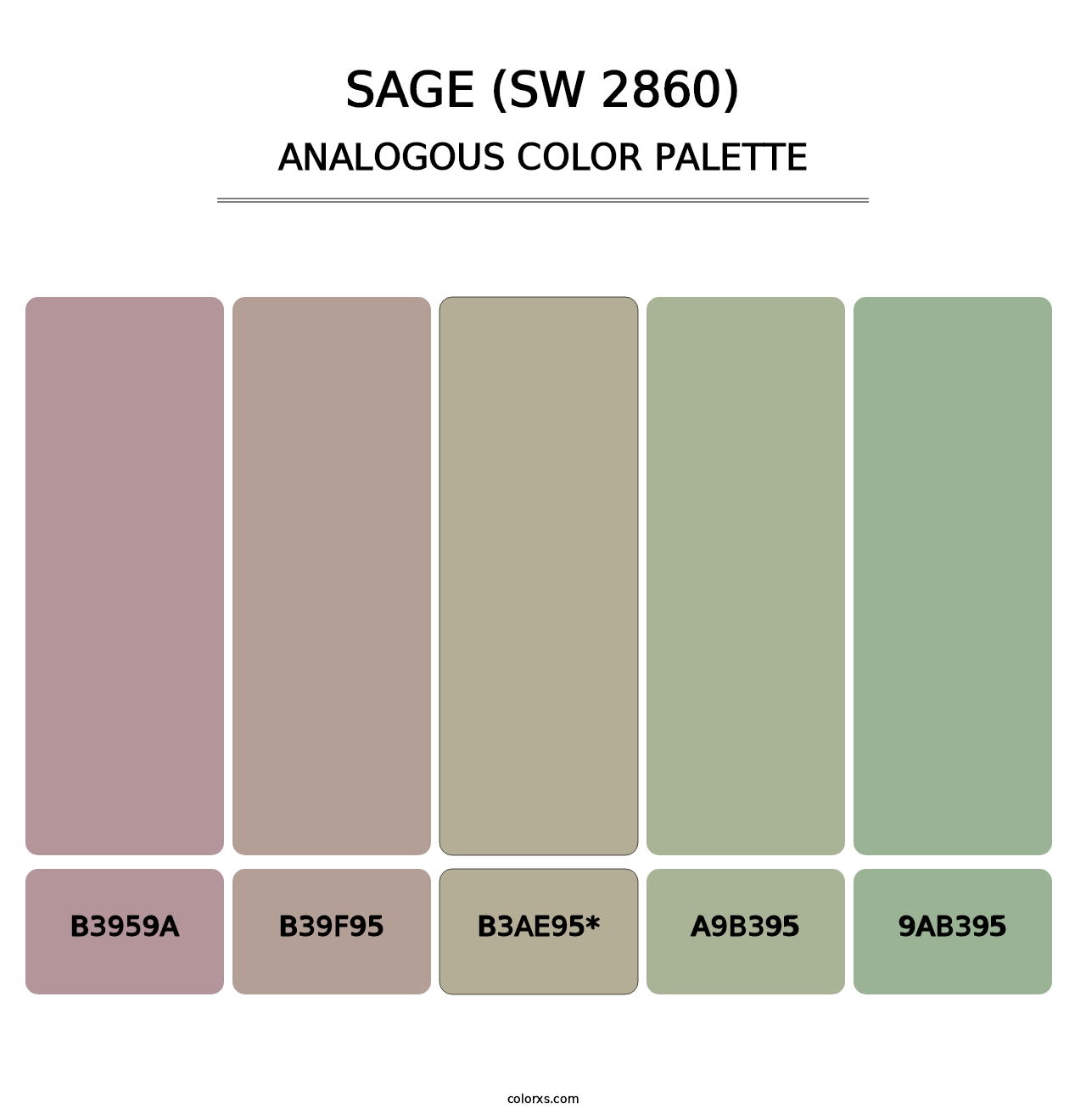 Sage (SW 2860) - Analogous Color Palette