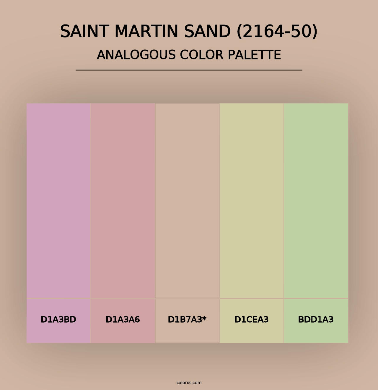 Saint Martin Sand (2164-50) - Analogous Color Palette