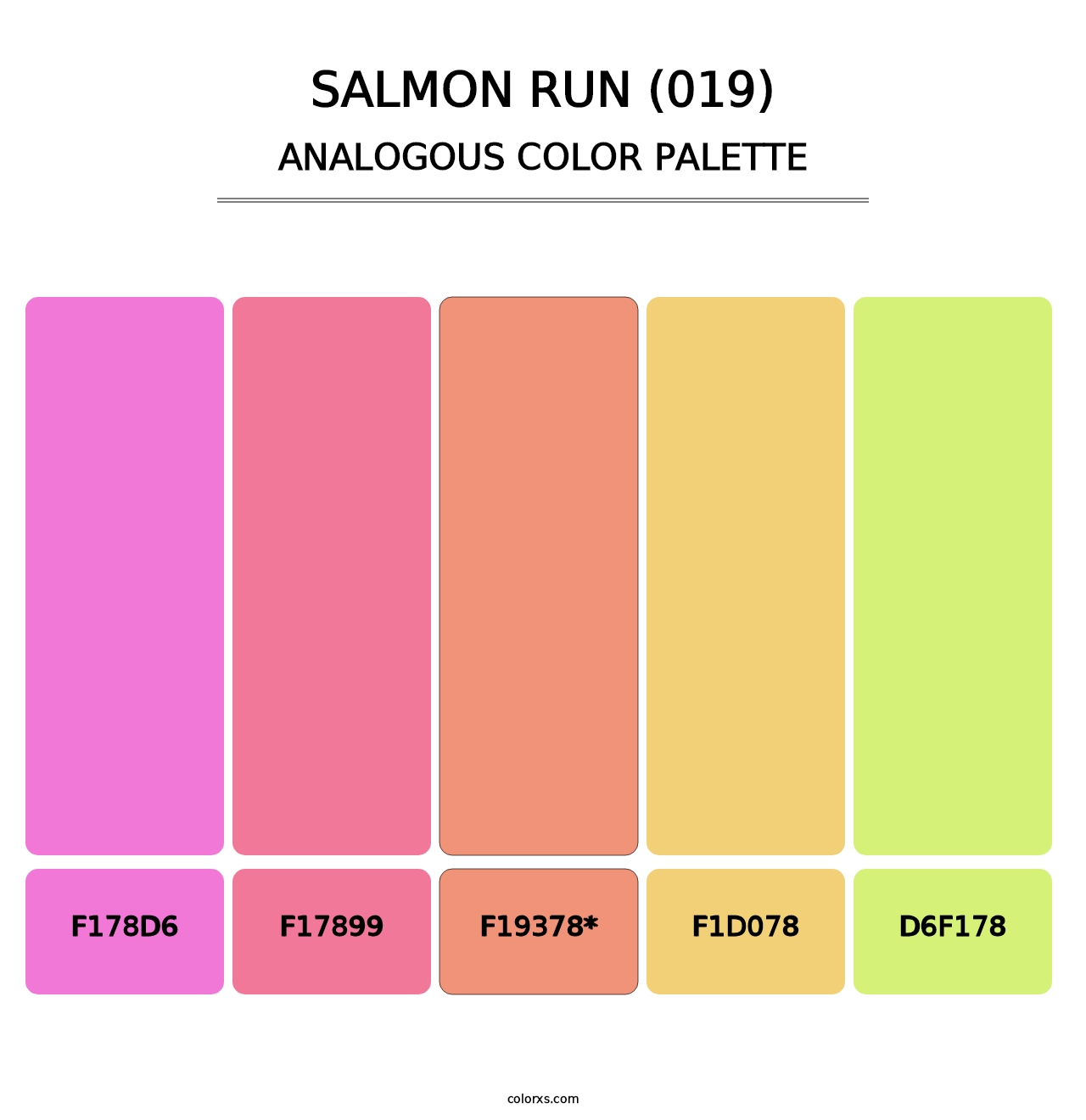 Salmon Run (019) - Analogous Color Palette