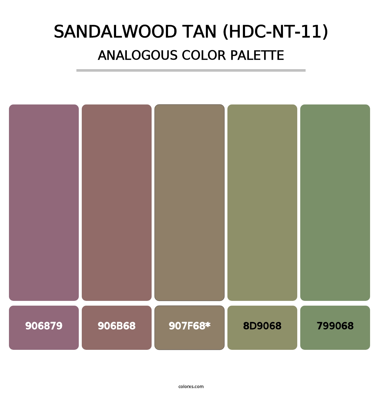 Sandalwood Tan (HDC-NT-11) - Analogous Color Palette