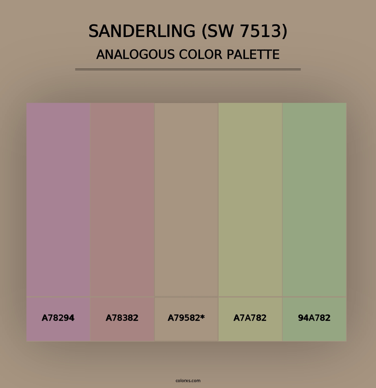 Sanderling (SW 7513) - Analogous Color Palette